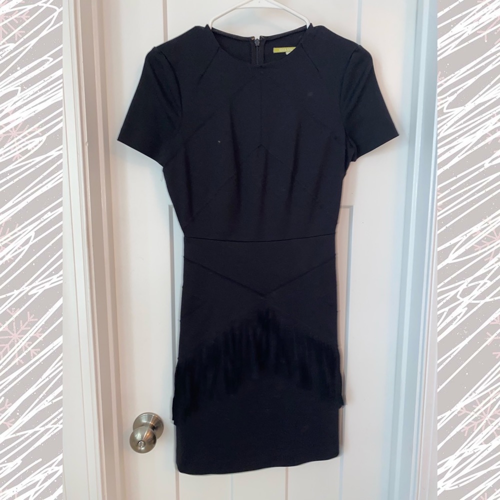 Fitted Fringe Detail Dress